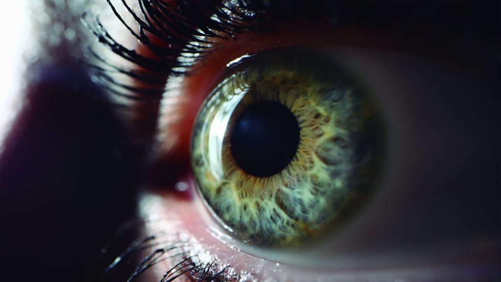 Los efectos del glaucoma y cómo evitarlo